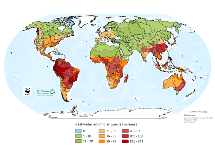 Freshwater amphibian species richness