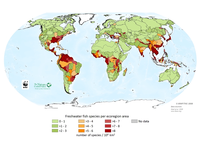 Freshwater fish species per ecoregion area