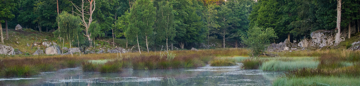 river meandering through a shallow valley