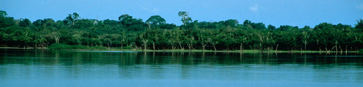 river meandering through a shallow valley