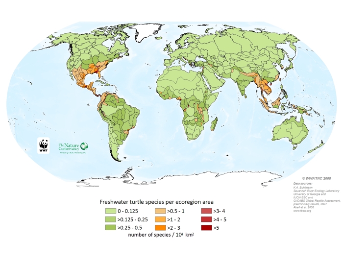 Freshwater turtle species per ecoregion area
